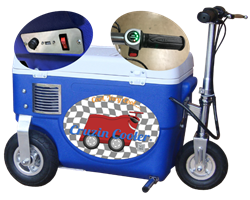 2WD Fishing Cooler Electric Scooter Go Cart with 45qt Box - China Scooter  Cooler and Electric Scooter price